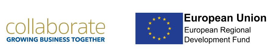 Form Logo